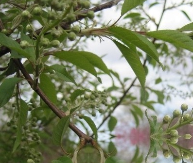 QQ截图20211211150903