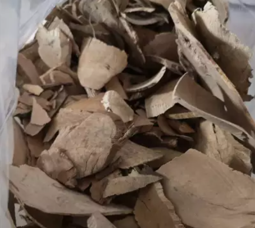 巴豆树根的功效与作用_美健品健康网