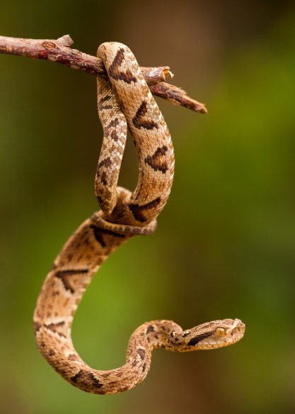 QQ截图20211213150930