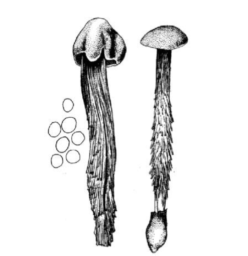 QQ截图20211213165342