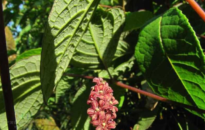 QQ截图20211215113635