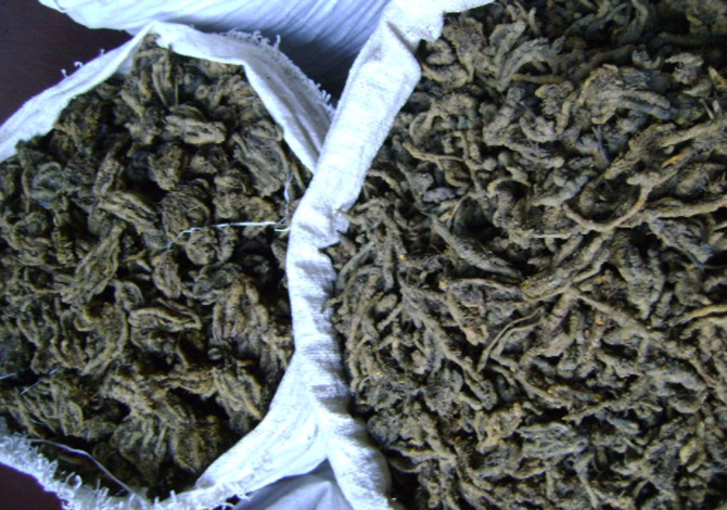 牡鼠粪