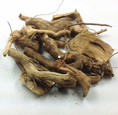 牡荆根