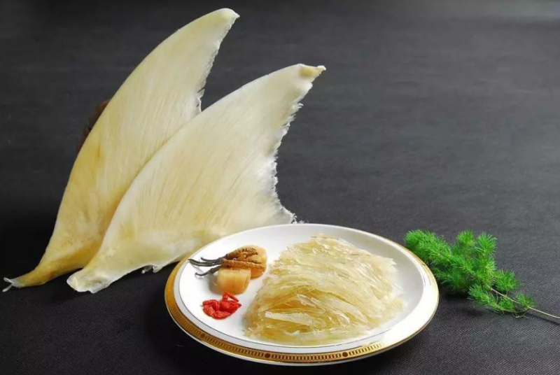 鲛鱼翅