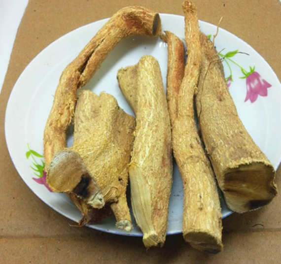 橘根