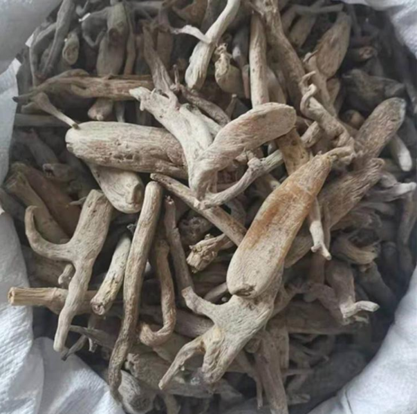 九子连环草