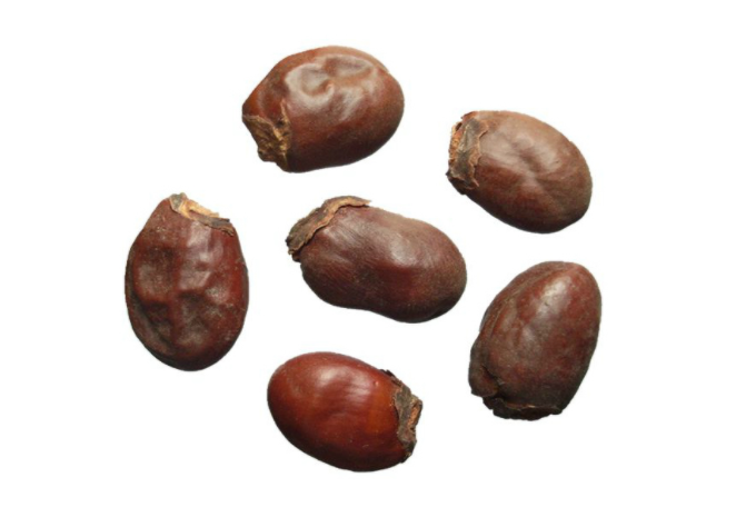 木瓜核