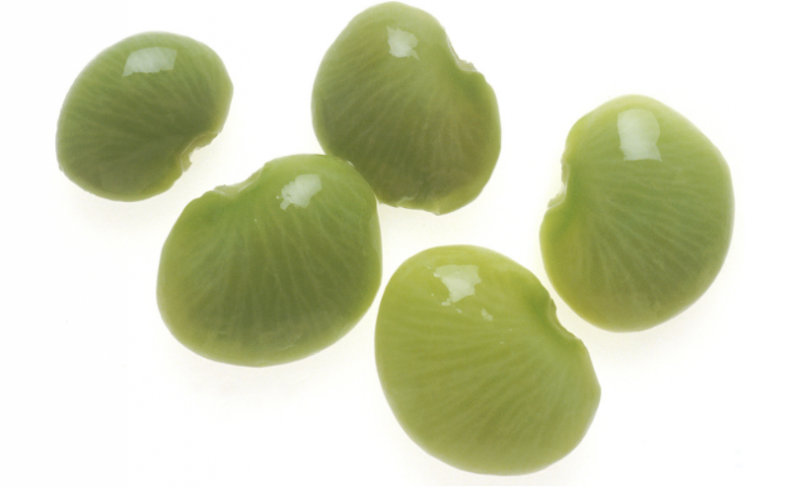 金甲豆