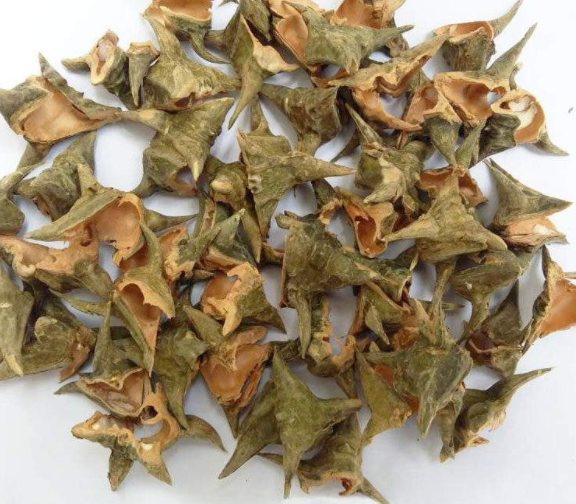 菱壳