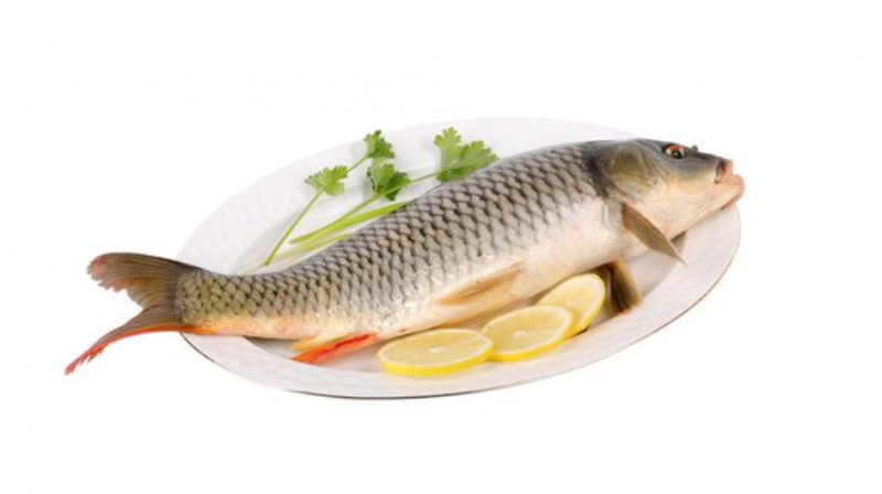 鲤鱼脂