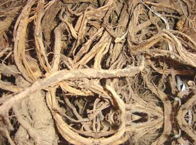 癞皮根