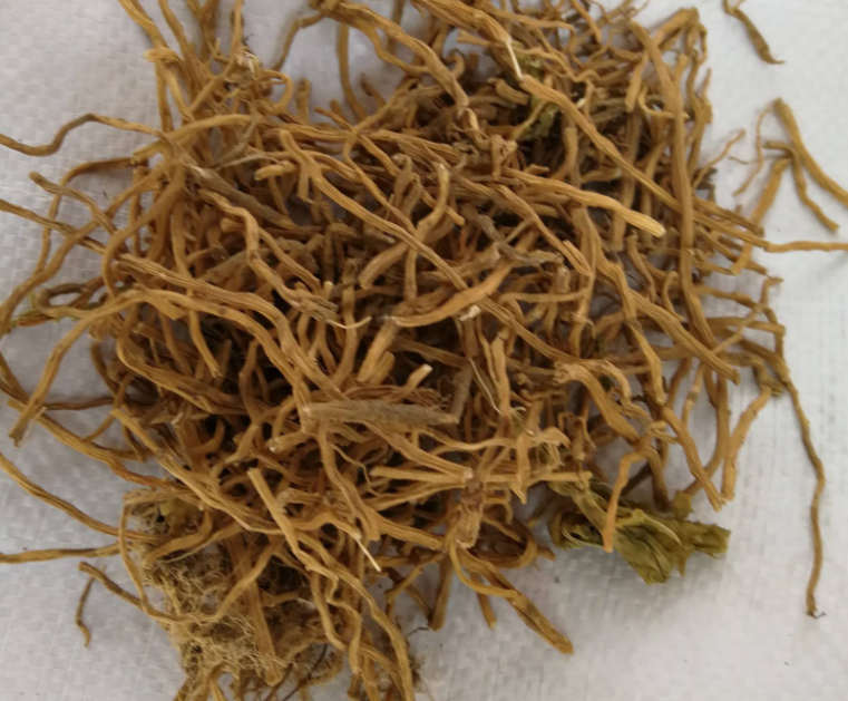 玉簪花根