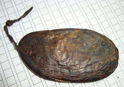 熊胆