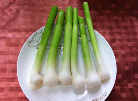 蒜梗