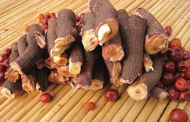 酸枣根