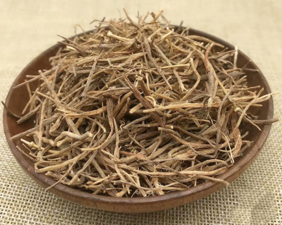 钱针万线草