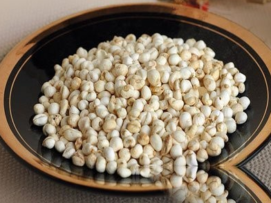 蒲圻贝母