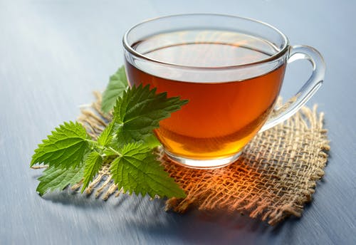 杜仲茶