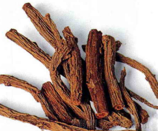 茜草根