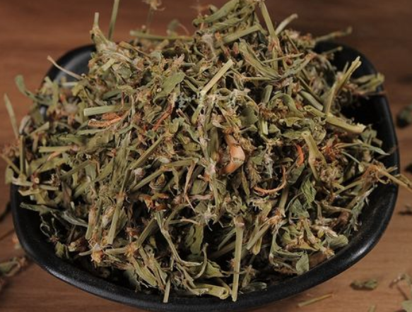 小萹蓄