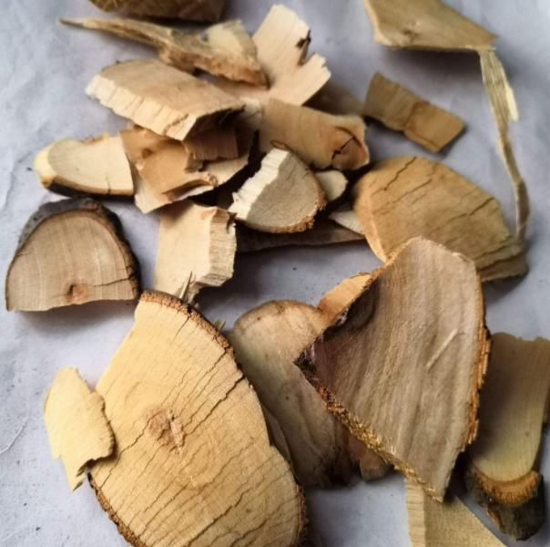 香樟根