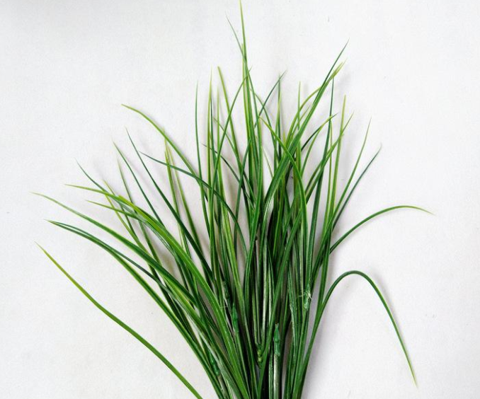 细草