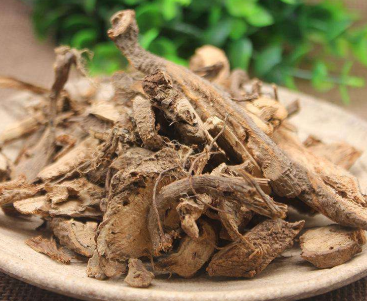苎麻根