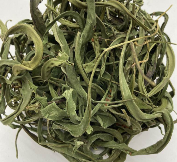 肾经草