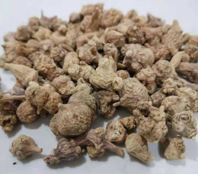 珠儿参