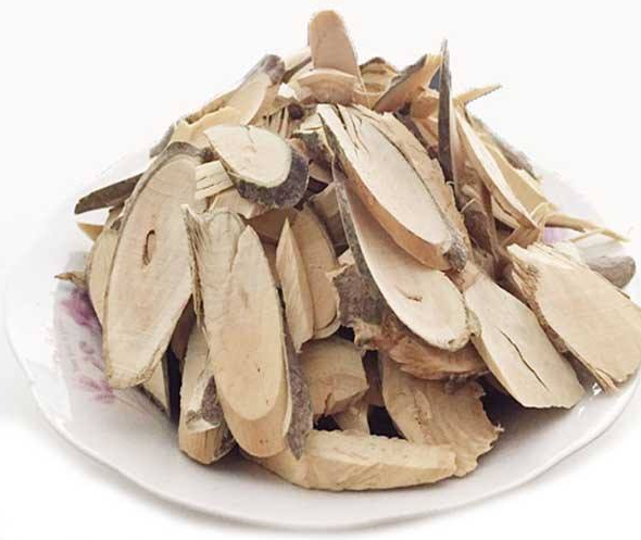 栀子根