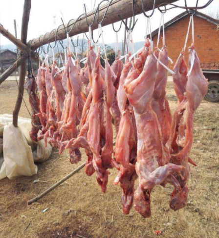 獭肉