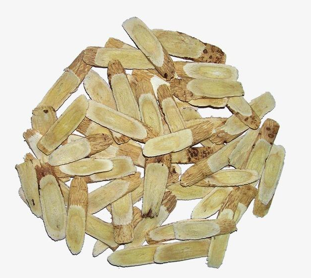 黄芩是豆类植物,它是一味常见的中药材.