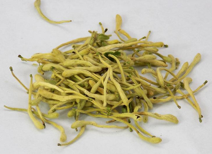 金银花