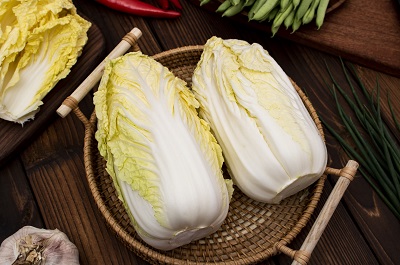 大白菜