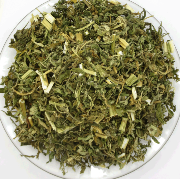 益母草