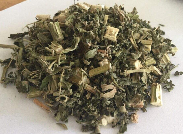 益母草