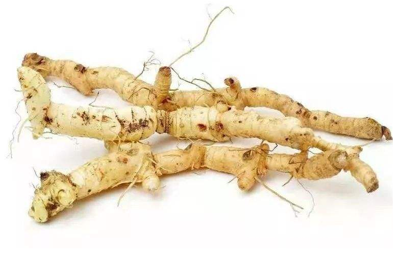 黄精的性味是什么？