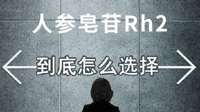 image 人参皂苷rh2 改善放疗化疗副作用