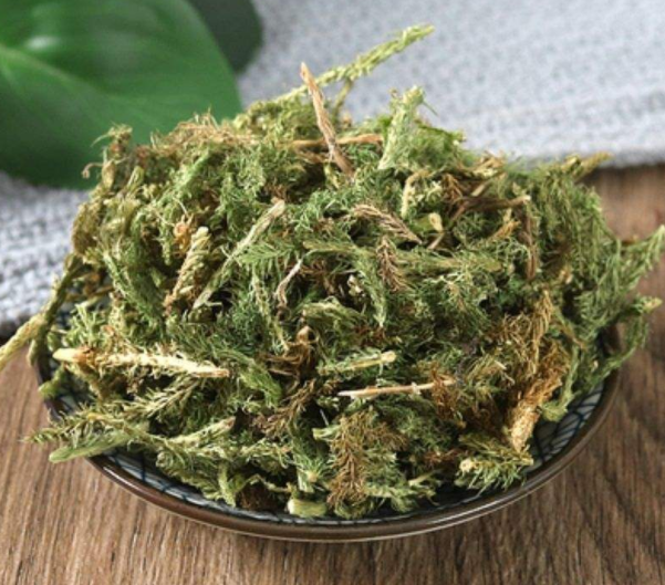 伸筋草