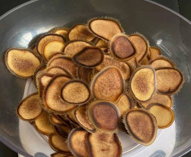 鹿茸片