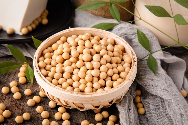 摄图网_501040784_有机大豆黄豆(企业商用).jpg 摄图网_501040784_有机大豆黄豆(企业商用).jpg