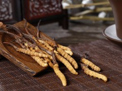 虫草的功效与作用及营养 虫草有哪些功效与作用