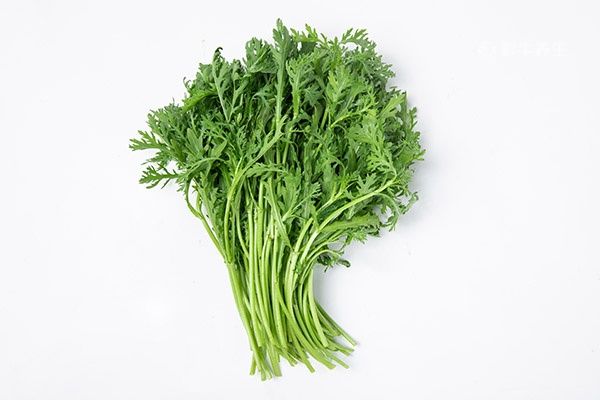 茼蒿2.jpg
