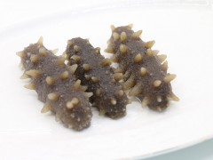 海参的食用方法和作用 海参的吃法及功效