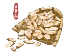生黄芪的功效与作用 生黄芪的服用禁忌
