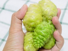 诺丽果的功效及副作用 吃诺丽果的好处与危害
