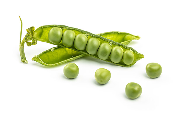 豌豆3.jpg