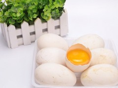 鹅蛋的最佳吃法 吃鹅蛋有什么好处