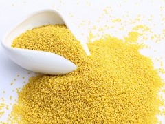 小米的功效与作用 小米的营养价值