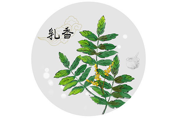 乳香的功效与作用 乳香的药用价值